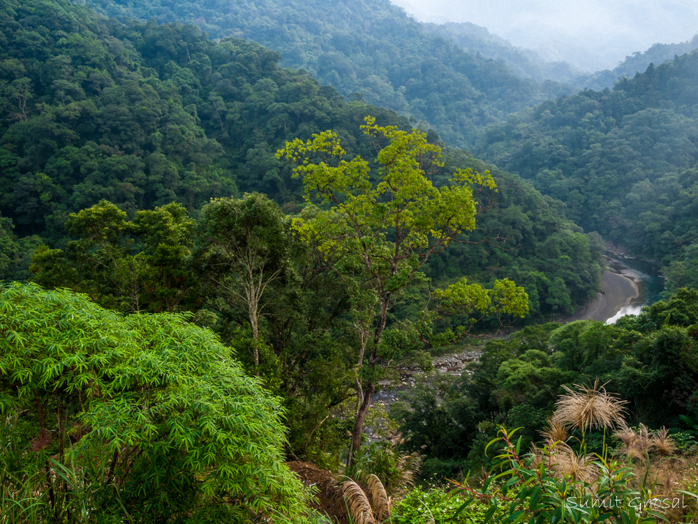 Hiking-Trail_Tonho_Taiwan-3.jpg