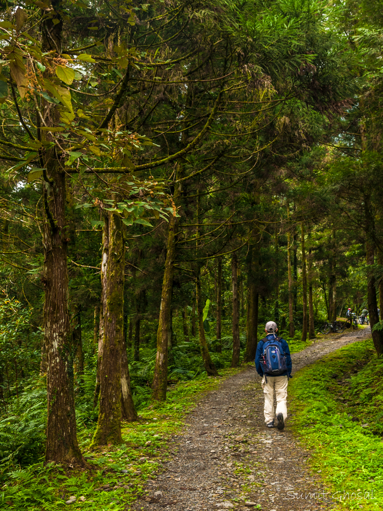 Hiking-Trail_Tonho_Taiwan-9.jpg